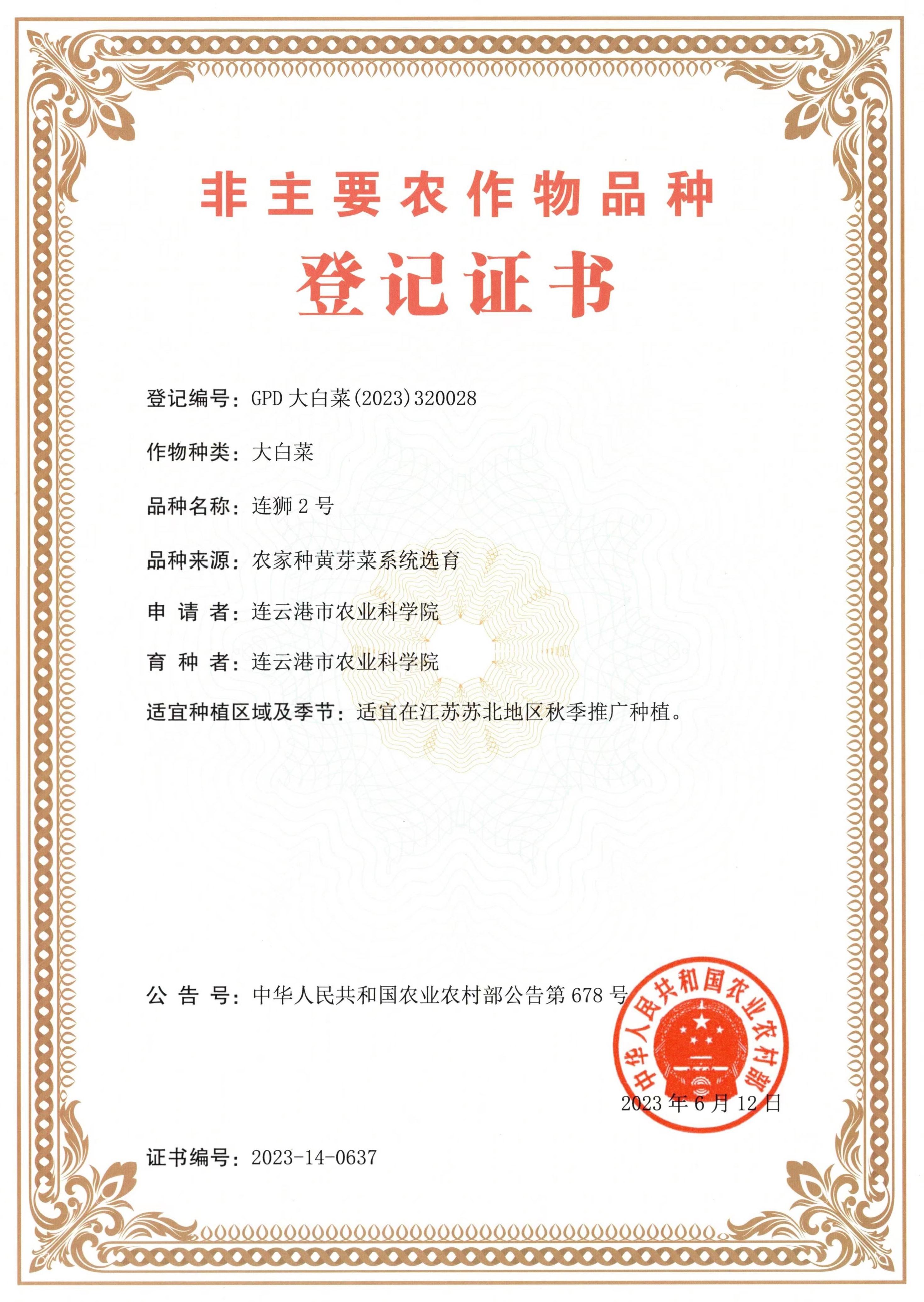 连狮2号.jpg