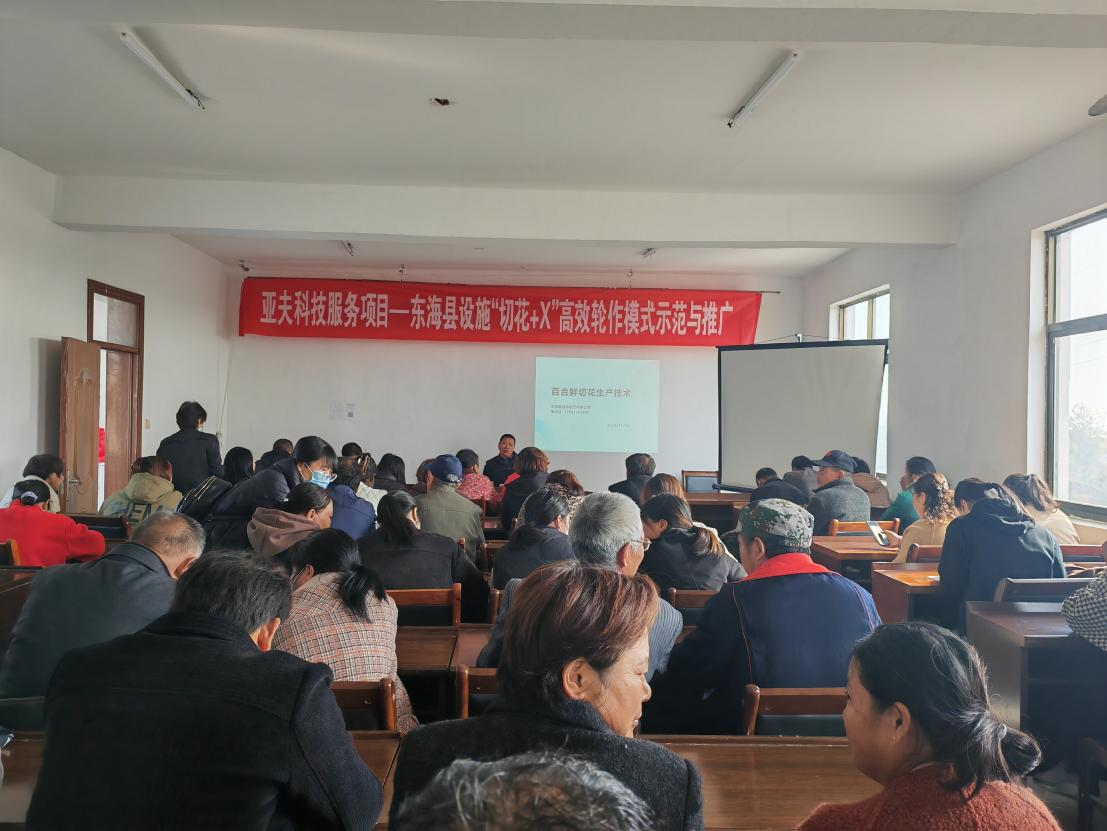 图片11.png
