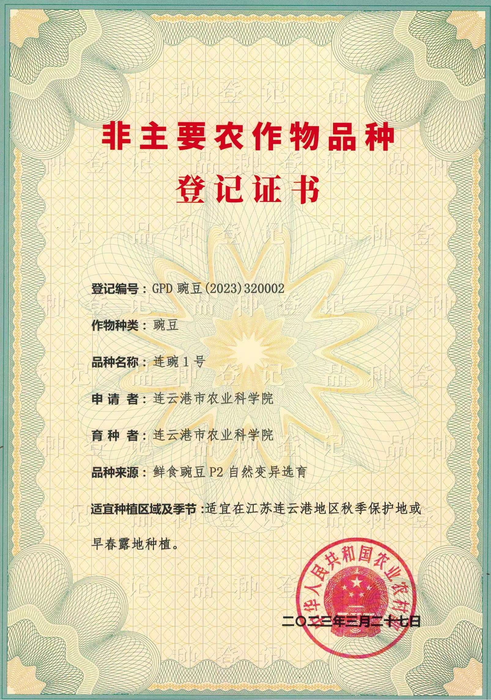 连豌1号-品种登记证书.jpg