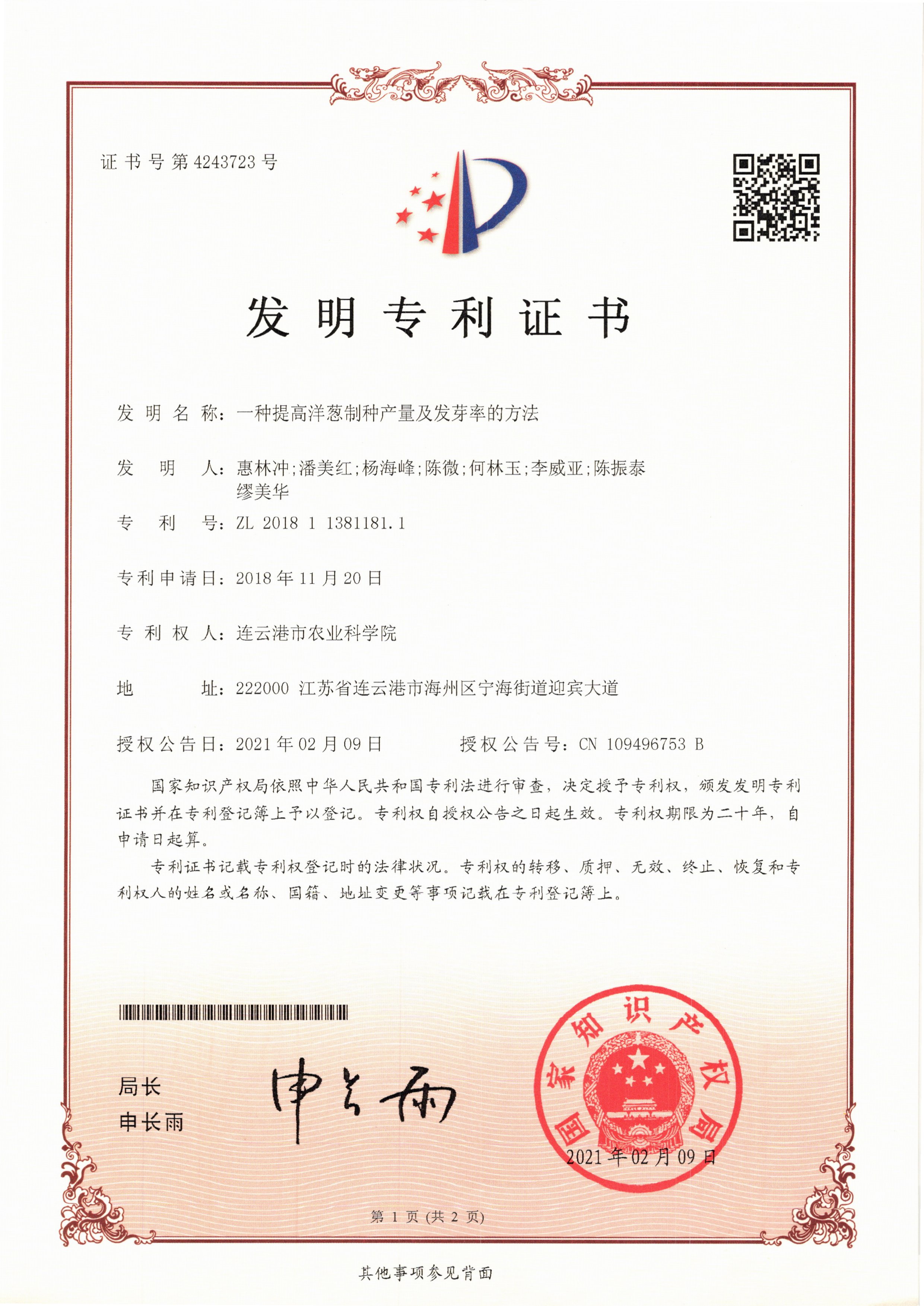 一种提高洋葱制种产量及发芽率的方法.jpg